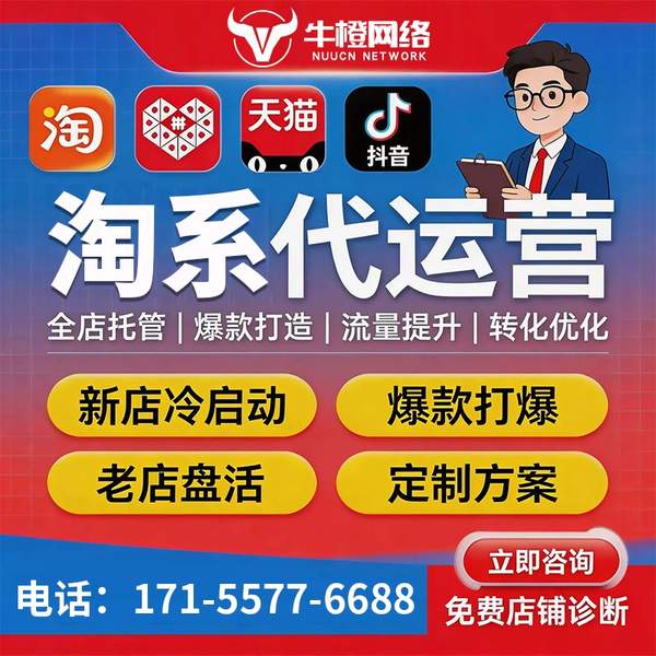 东兴电商代运营