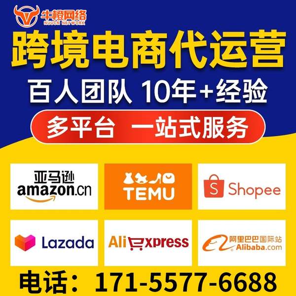 东兴电商代运营