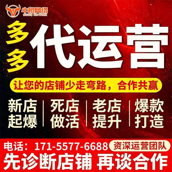 东兴电商代运营