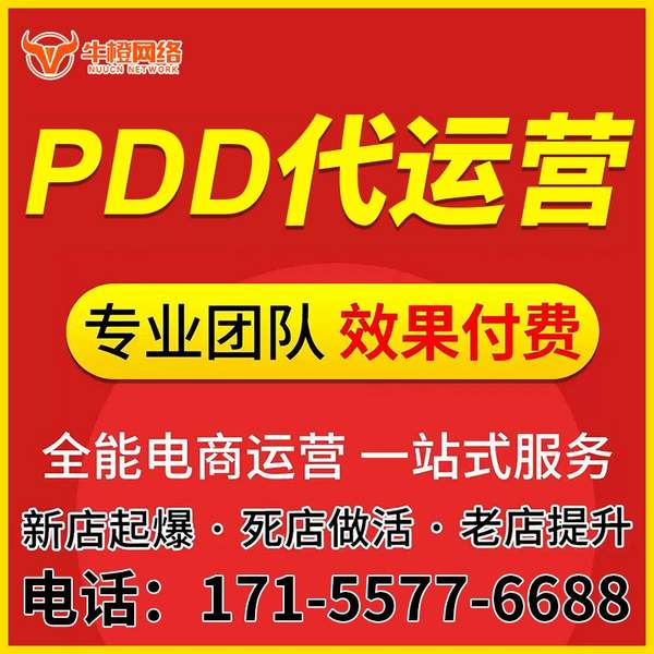 东兴电商代运营