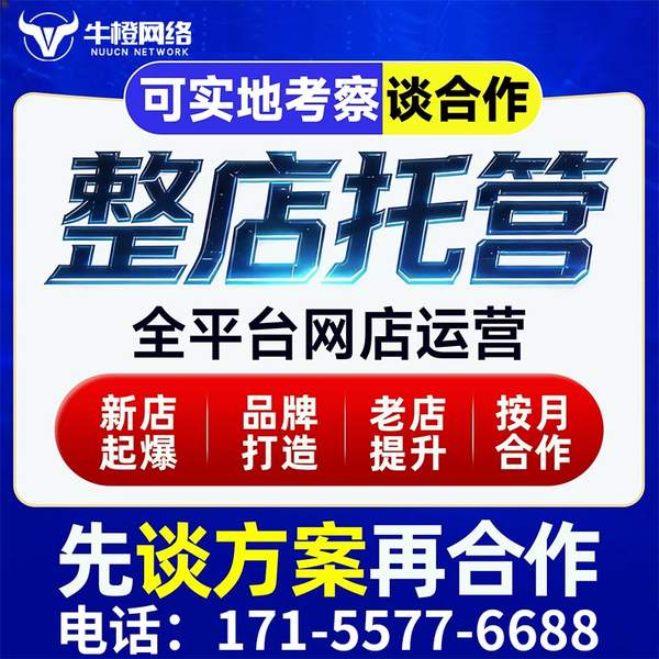 东兴电商代运营