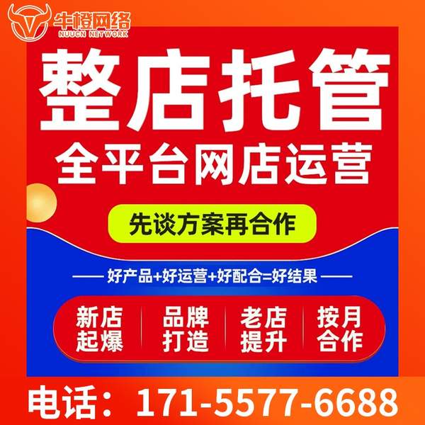 东兴电商代运营