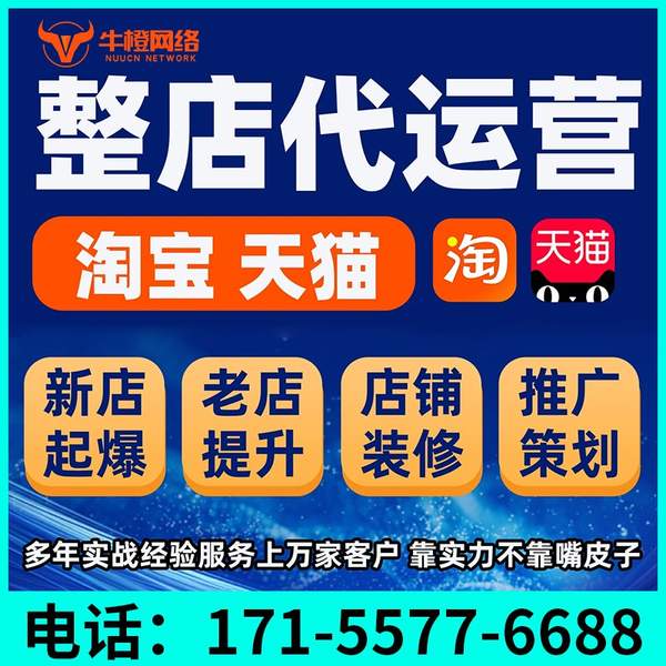 东兴电商代运营