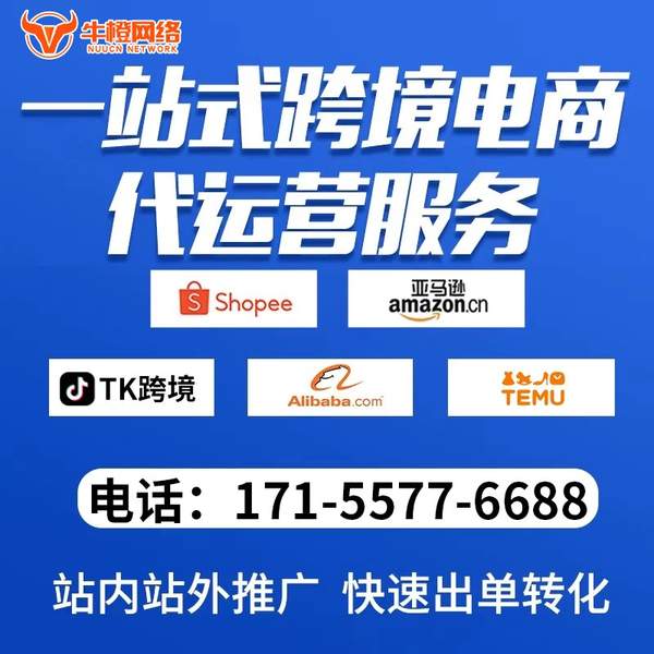 东兴电商代运营