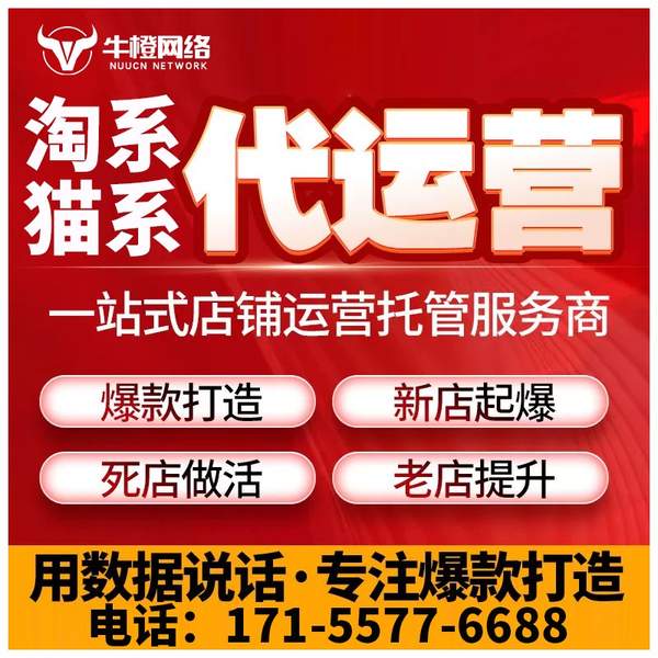 东兴电商代运营